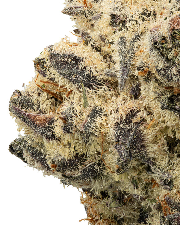 Indoor Permanent Marker Hydro High THCa - 31.795% - Indica