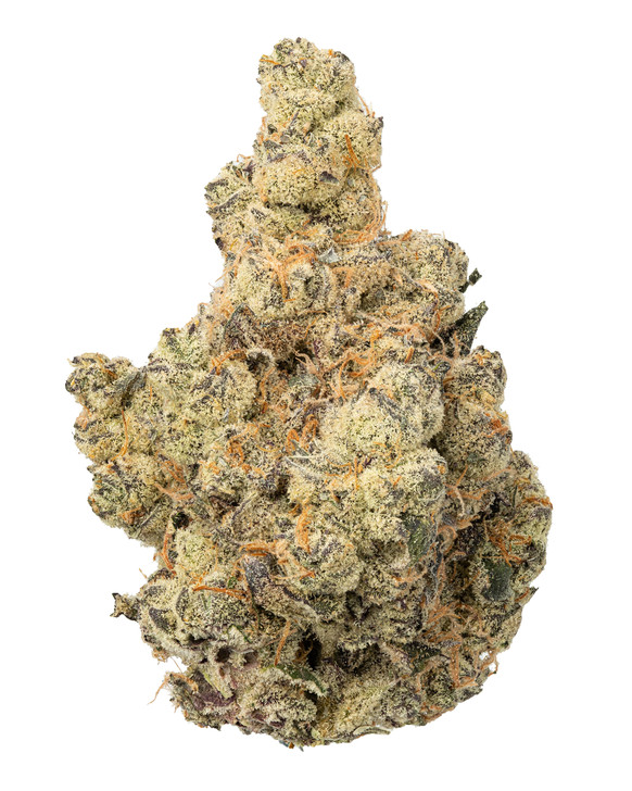 In-House Mule Fuel Hydro High THCa 31.000%- Indica