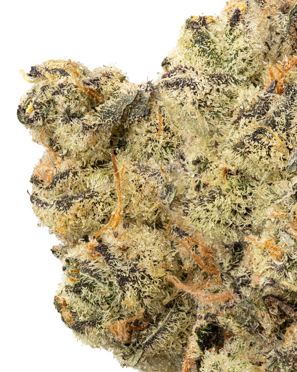 In-House Mule Fuel Hydro High THCa 27.115%- Indica
