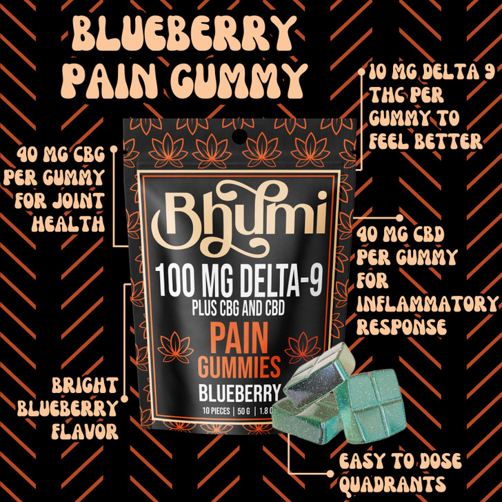 Bhumi Pain Blueberry Gummies - 100 mg D9, 400 mg CBG, 400 mg CBD