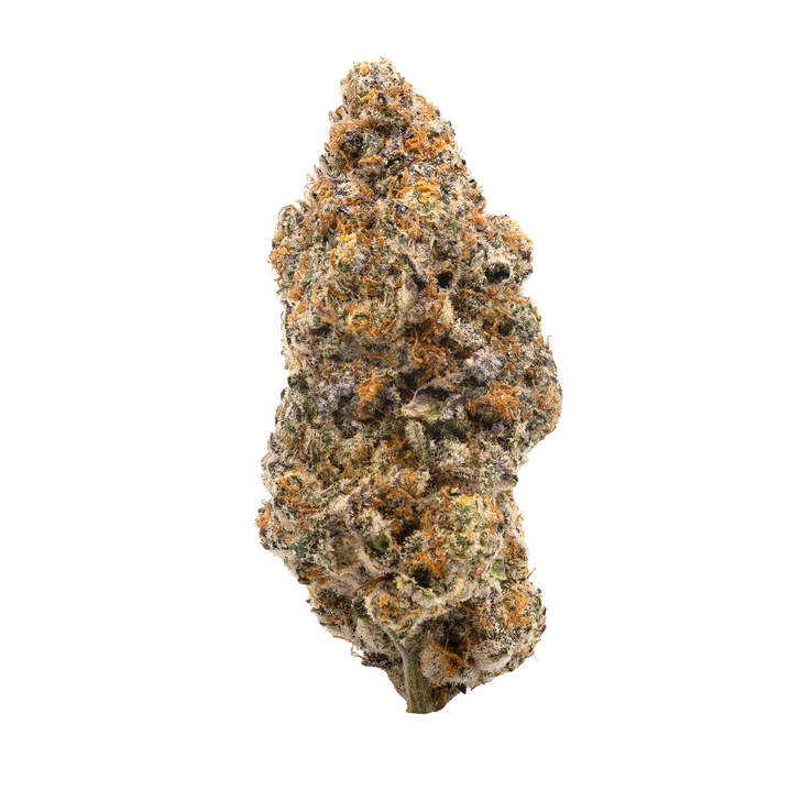 Colorado Night Shifter- Indoor Hydro- High THCa 28.419% - Sativa
