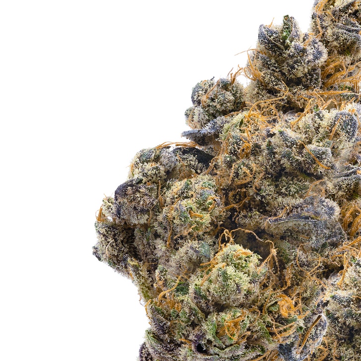 In-house Plato O Plomo- Hydro- 29.509 THCa%- Hybrid