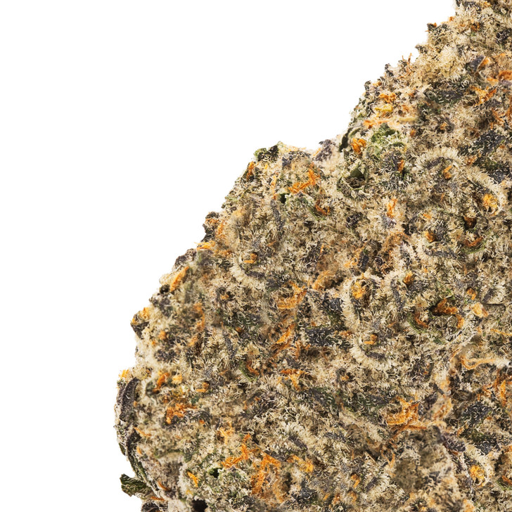Zour Patch- Living Soil- High THCa 28.728%- Sativa