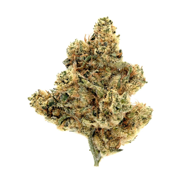 Alien Pebbles- Living Soil- High THCa 29.049%- Hybrid