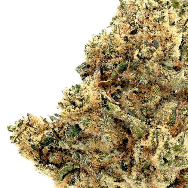 Alien Pebbles- Living Soil- High THCa 29.049%- Hybrid