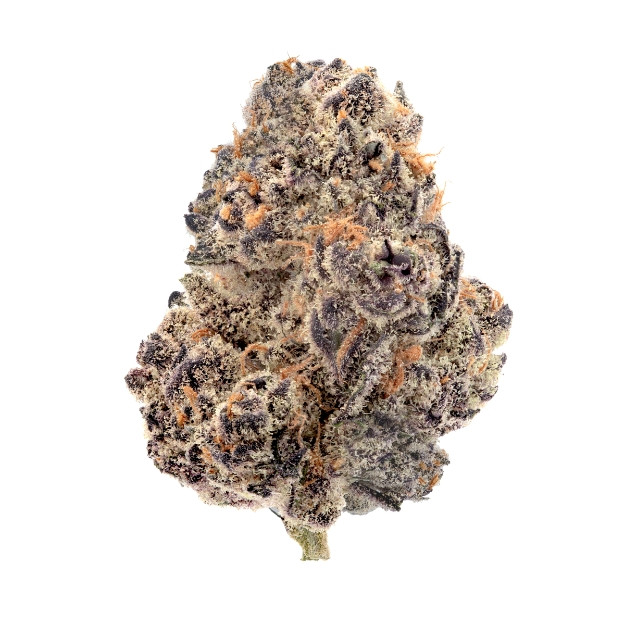 In-House Glitter Bomb High THCa Hydro - 28.279% THCa - Indica