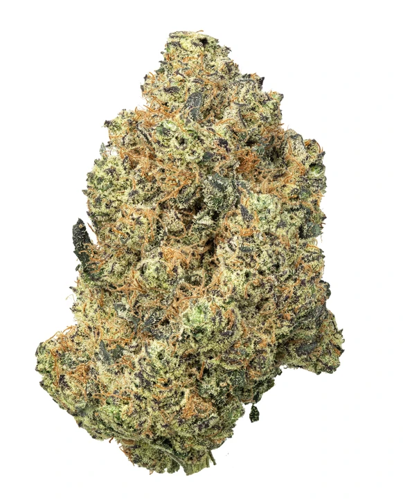 Detroit Muscle- Living Soil- High THCa 29.159%- Hybrid