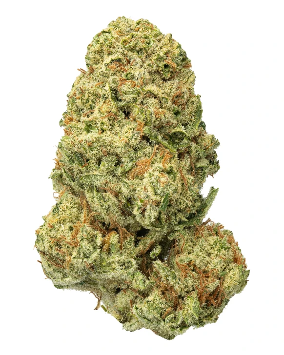 OZ- Cherry Papaya- Living Soil- High THCa 27.374%- Indica