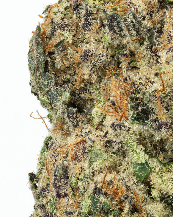 Burnout- Living Soil- High THCa 28.427%- Indica