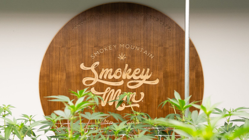 Discovering the Future of Cannabis Cultivation: Smokey Mountain Hemp Co’s Innovative Hydroponic Grow Operation