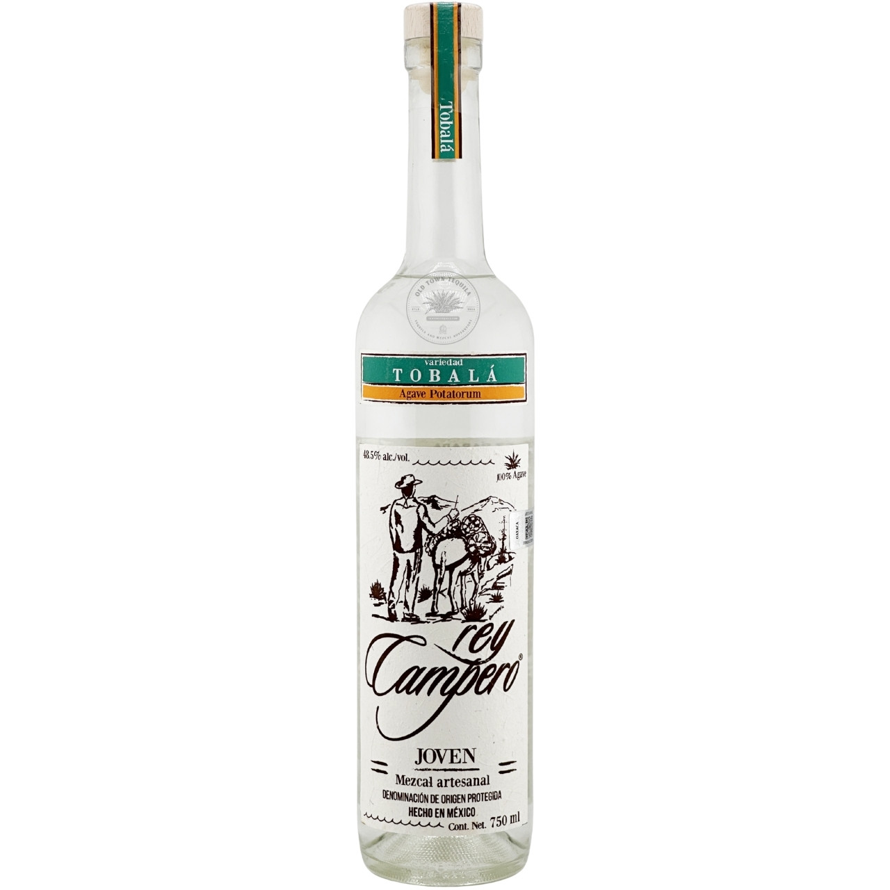 dicksaft agave Variegated Smooth Agave main image 0