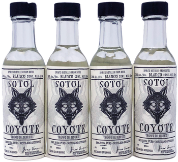 Sotol Coyote 38% alc 50ml 4 Pack