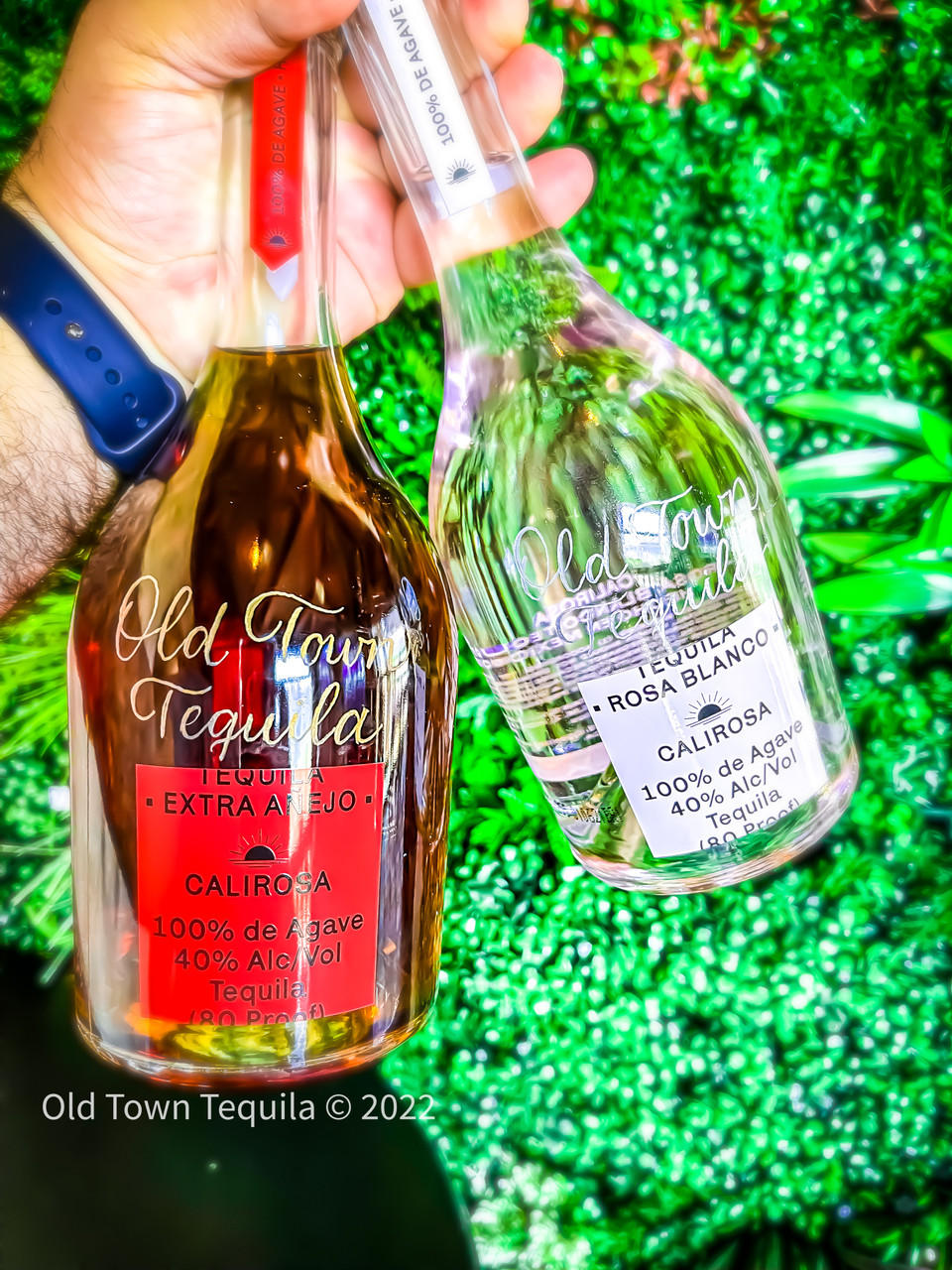 Tequila Page 9 Old Town Tequila