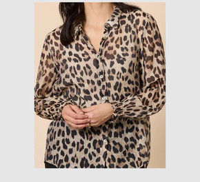 Cheetah