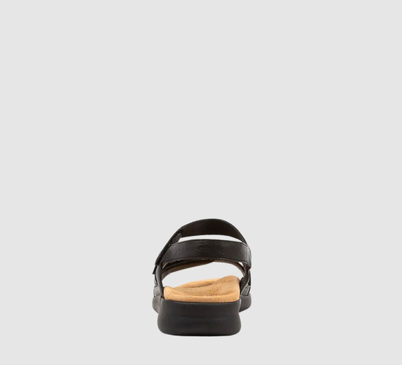 Black XW
