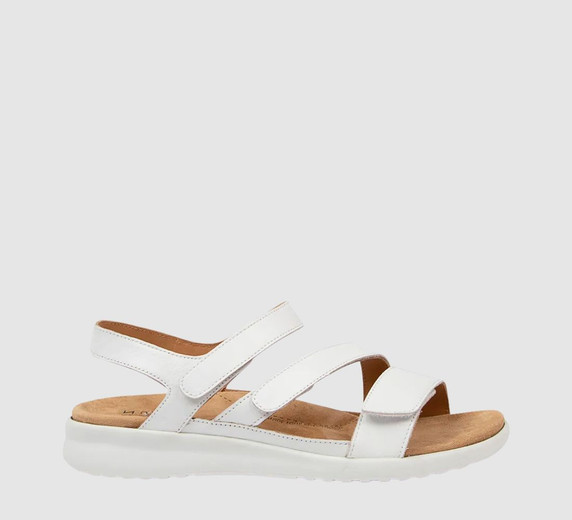 White XW