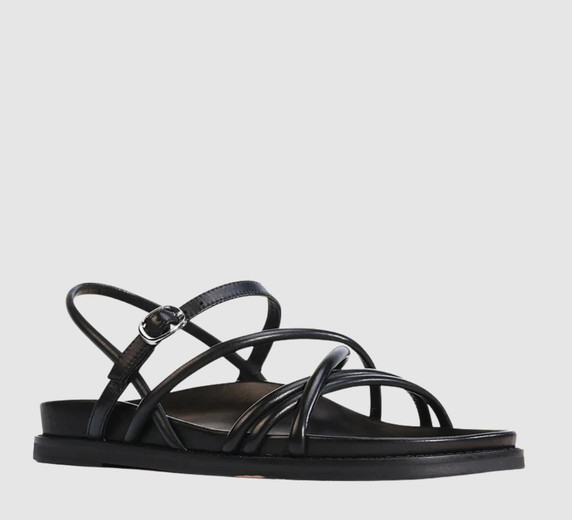 EOS Carmina EOS Carmina