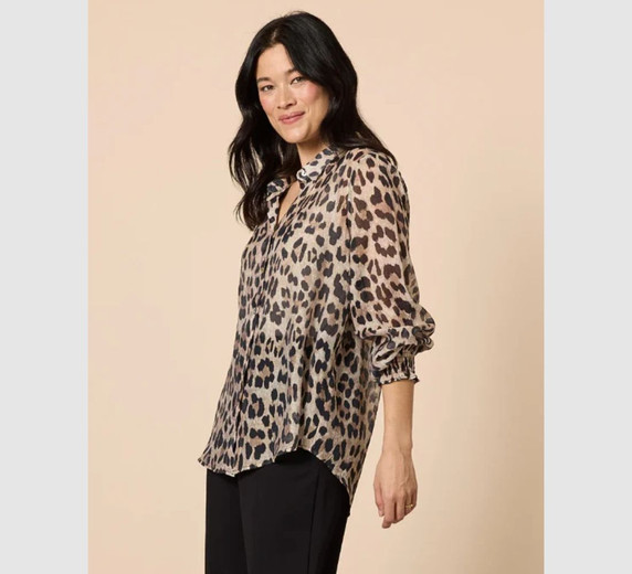 Cheetah