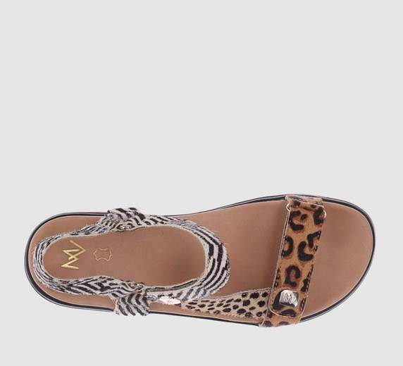 Leopard Multi