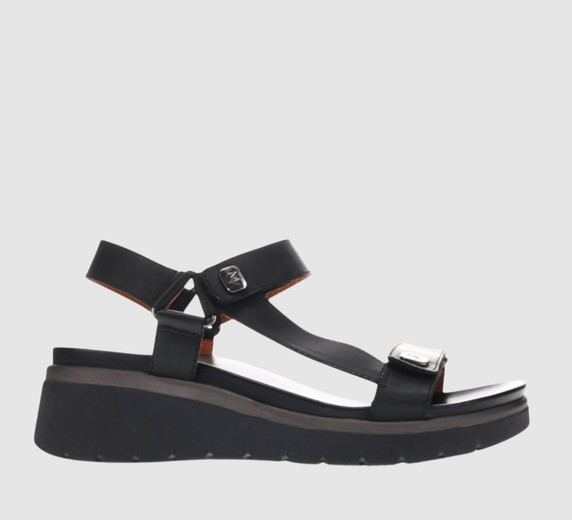 Black/Black
