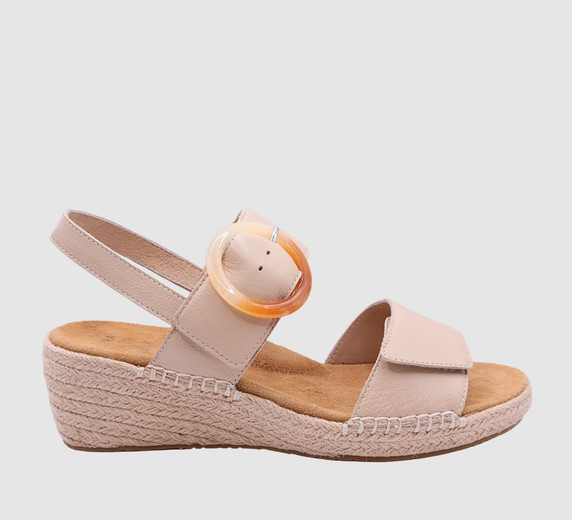 Camel