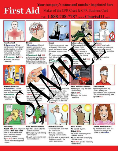 100 First Aid Reference Charts With Personalized Imprinting ...