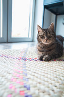 Handwoven Palm mat with Mr. cat