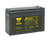 Yuasa SW200P (12V 200W)