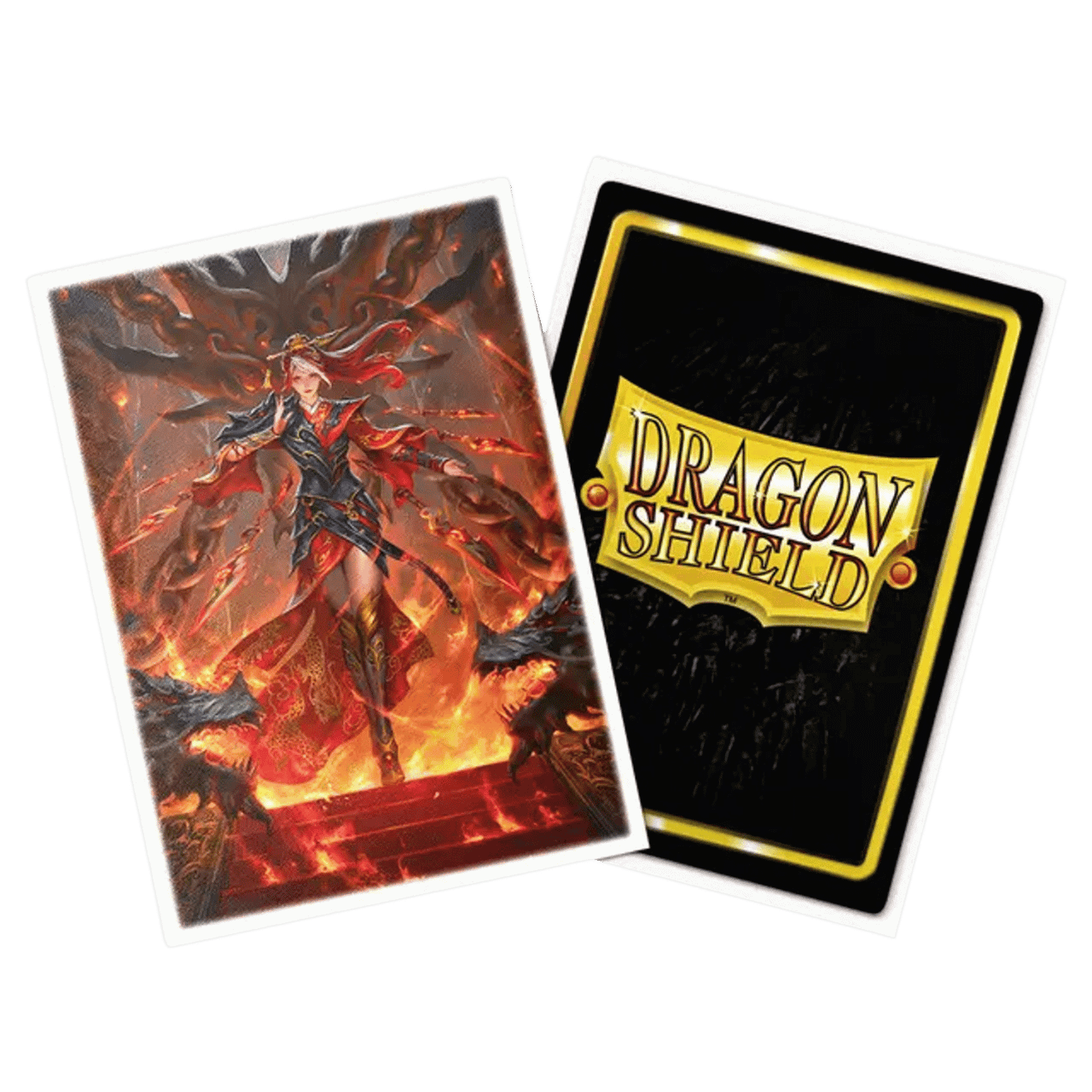 Dragon Shield: Flesh & Blood - Cindra, Dracai of Retribution - Art
