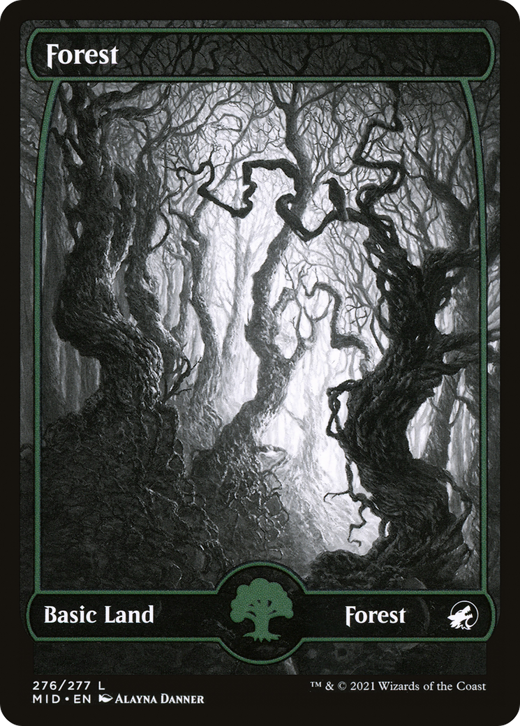 Forest (MID-276) - Innistrad: Midnight Hunt: (Full Art, Showcase