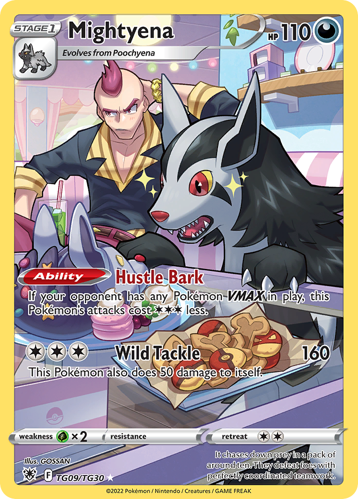 tg pokemon cards Rockruff TG07 TG30 Placeholder Image Provided Pokemon Sword & Shield Silver