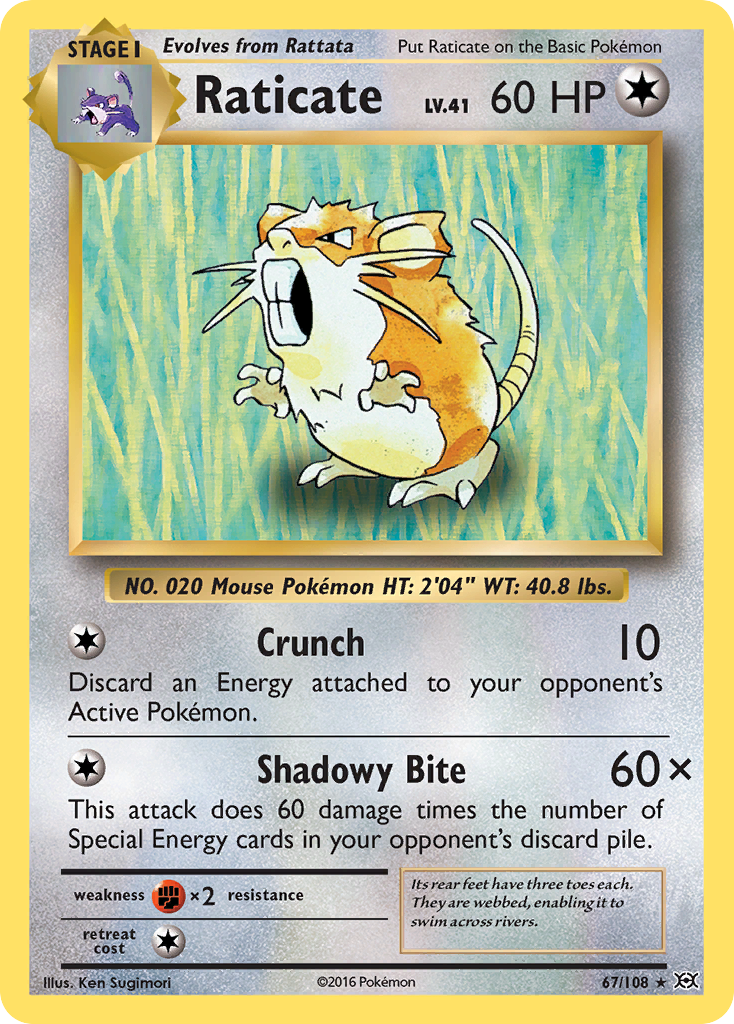 Raticate 67/108 - Evolutions - Game Nerdz Raticate 67/108 - Evolutions - Game Nerdz