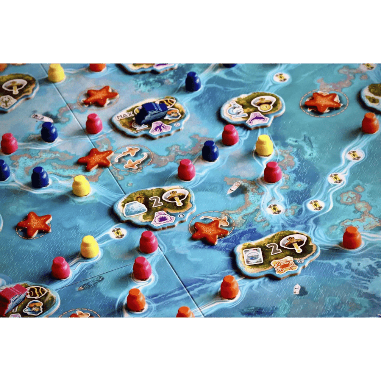 ゲームキャラクター reef Reef Project - Game Nerdz