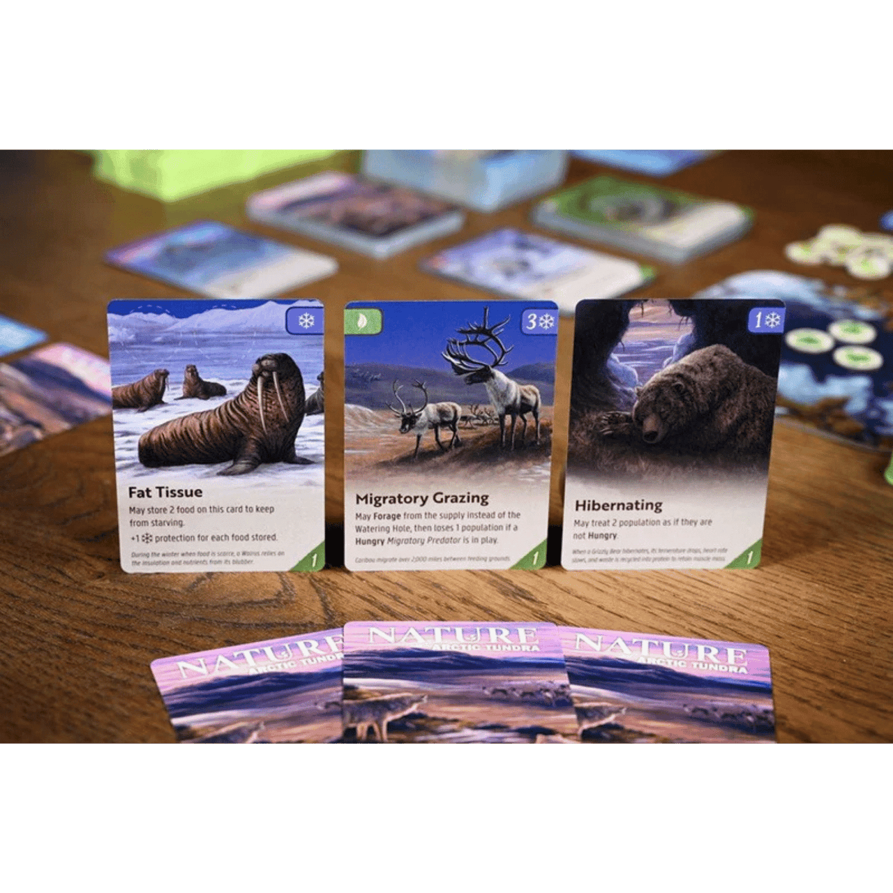Nature: Tundra Module Expansion - Game Nerdz