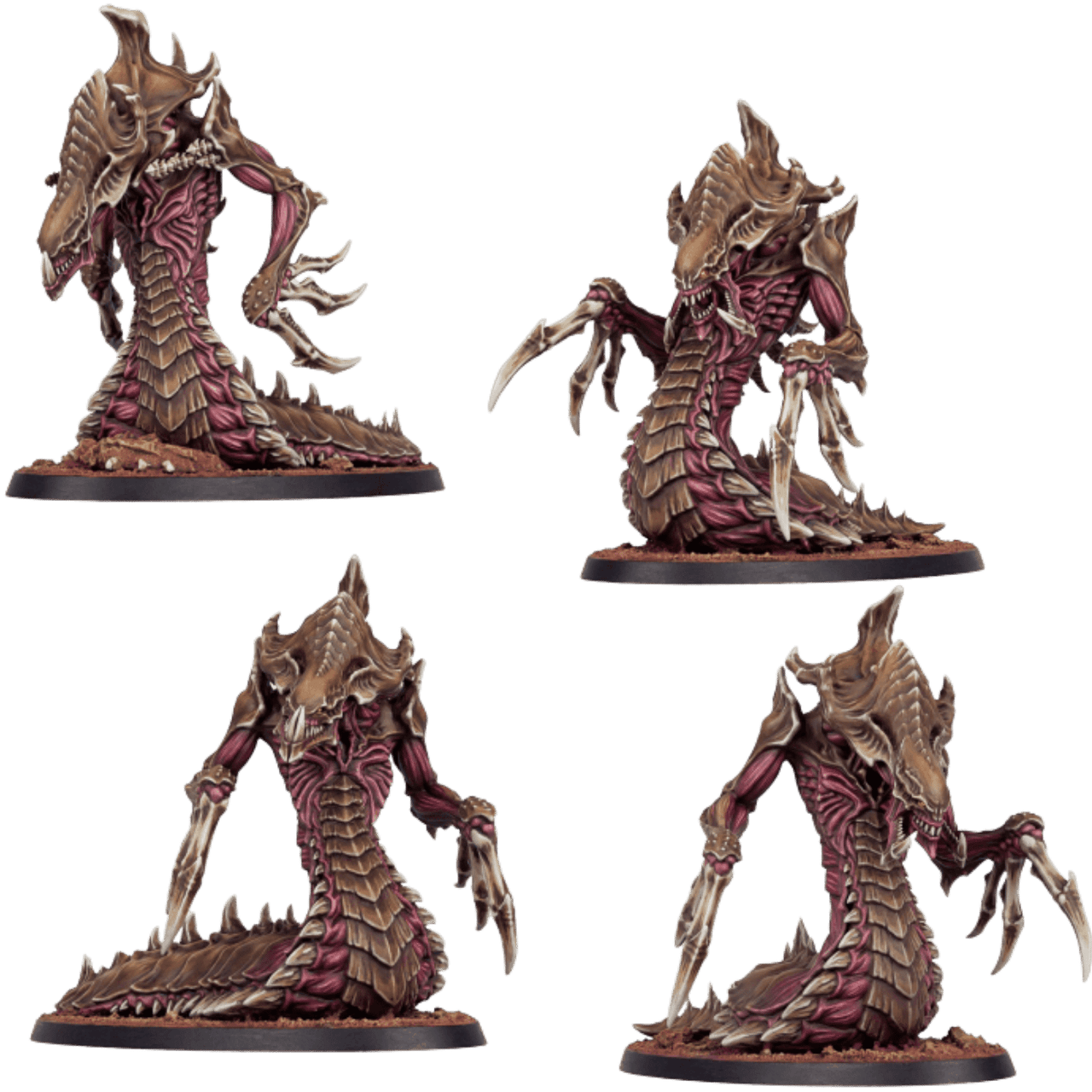 【未開封】RUSH Sector1, Sector2, Sector3 セット Amazon.co.jp: Rush, Sector 1: ミュージック