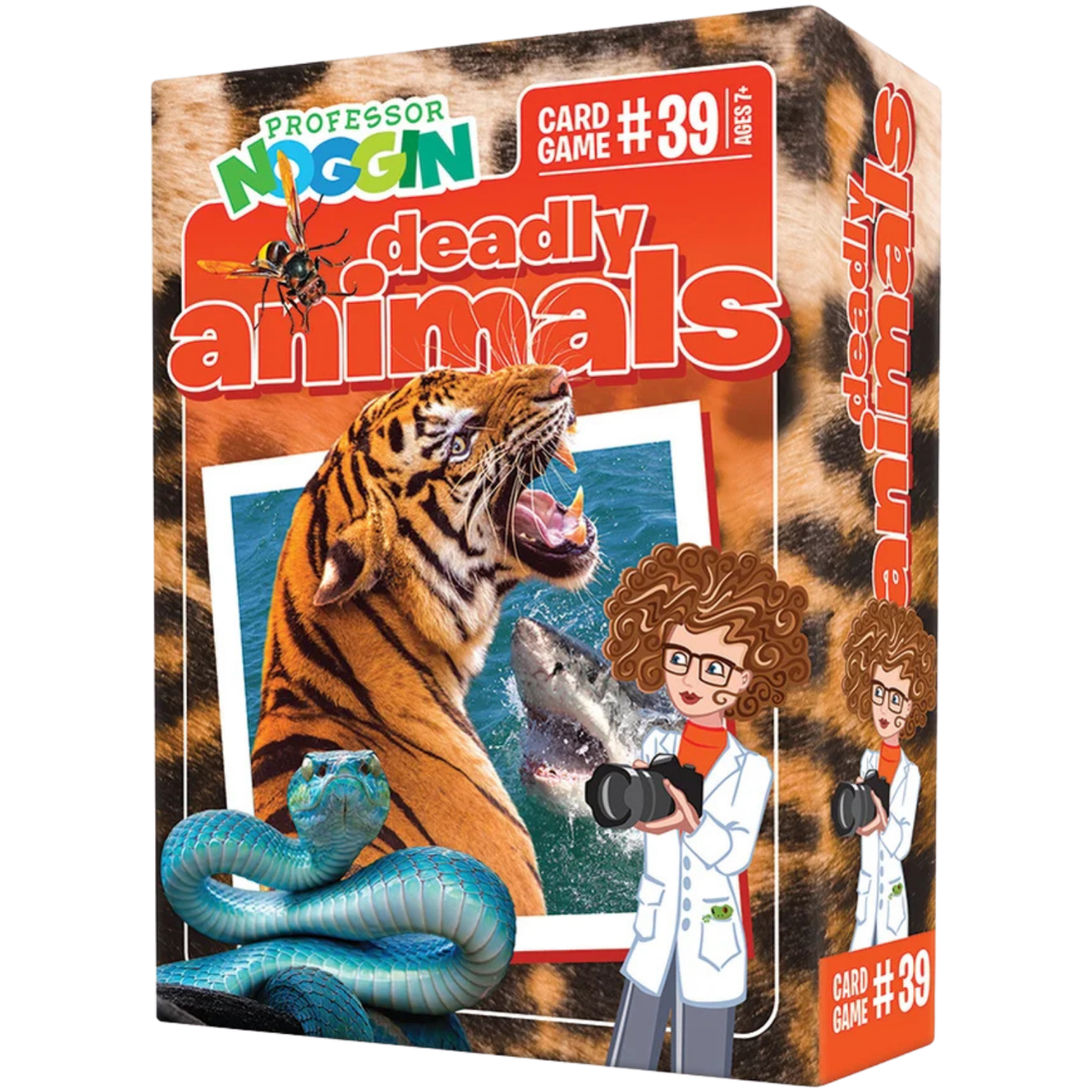 Professor Noggin: Deadly Animals、Outset、kayou