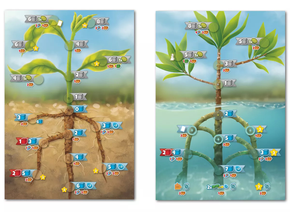 Cellulose: A Plant Cell Biology Game - Game Nerdz