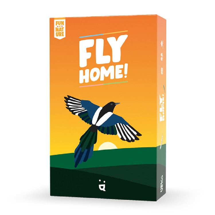 Helvetiq Fly Home – Kooperatives Vogel-Memory-Spiel Für Die Ganze Familie, Mit Lernfaktor über Heimische Vögel