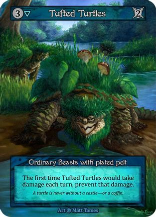 Tufted Turtles  - Beta