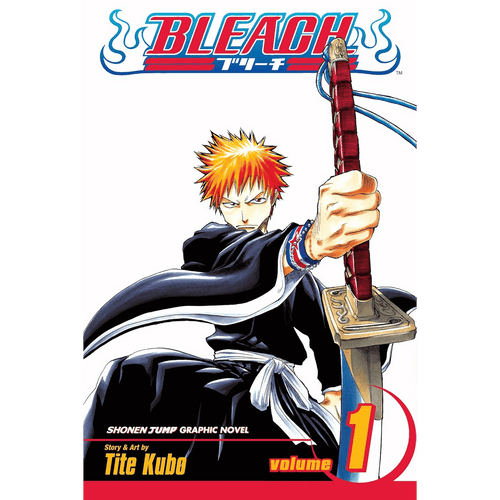 Bleach: Volume 1