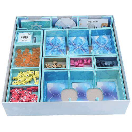 Box Insert: Finspan
