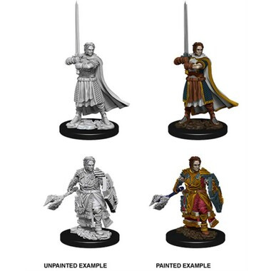 Dungeons & Dragons: Nolzur's Marvelous Unpainted Miniatures - Male Human Cleric