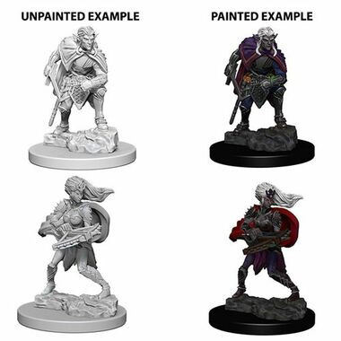 Dungeons & Dragons: Nolzur's Marvelous Unpainted Miniatures: Drow