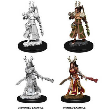 Dungeons & Dragons: Nolzur's Marvelous Unpainted Miniatures: Female Human Druid