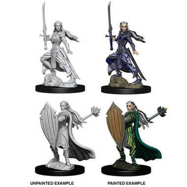 Dungeons & Dragons: Nolzur's Marvelous Unpainted Miniatures: Female Elf Paladin