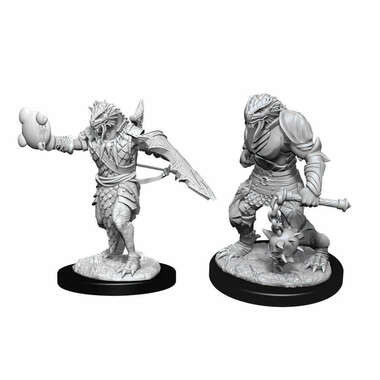 Dungeons & Dragons: Nolzur's Marvelous Unpainted Miniatures: Male Dragonborn Paladin