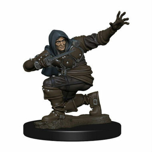 Pathfinder Battles Premium Miniatures: Male Human Rogue