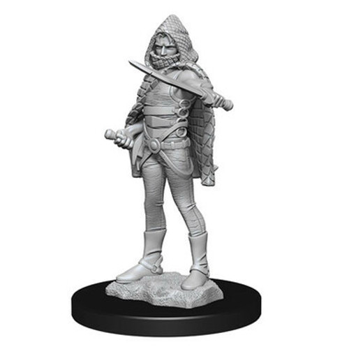 Dungeons & Dragons: Nolzur's Marvelous Unpainted Miniatures - Darkling Elder & Darklings (Wave 13)