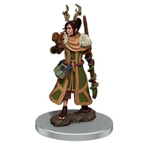 Dungeons & Dragons: Icons of the Realms Premium Miniatures - Female Human Druid (Wave 7)