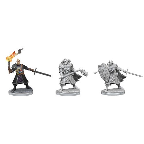 Dungeons & Dragons Miniatures: Frameworks - Male Human Fighter (Wave 1)